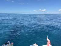 Great day of scuba diving in Key Largo with Rainbow Reef on benwood wreck tropical odyssey 2024 11 28 r17002 1