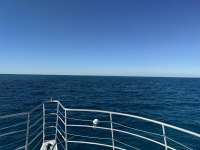 Great day of scuba diving in Key Largo with Rainbow Reef on christ statue tropical odyssey 2024 11 23 r16945 1