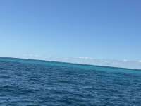 Great day of scuba diving in Key Largo with Rainbow Reef on conch ledge tropical destiny 2024 11 27 r16994 1