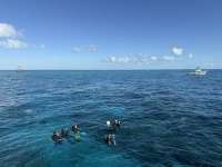 Great day of scuba diving in Key Largo with Rainbow Reef on coral canyons tropical legend 2024 11 28 r17000 1