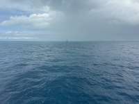 Great day of scuba diving in Key Largo with Rainbow Reef on drift molasses tropical odyssey 2024 11 11 r16859 1