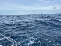 Great day of scuba diving in Key Largo with Rainbow Reef on molasses reef tropical destiny 2024 11 20 r16929 1