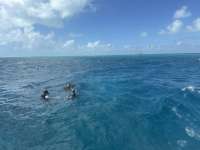 Great day of scuba diving in Key Largo with Rainbow Reef on nine channel tropical destiny 2024 11 02 r16823 1