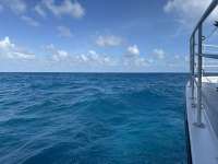 Great day of scuba diving in Key Largo with Rainbow Reef on nine channel tropical odyssey 2024 11 08 r16830 1