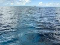 Great day of scuba diving in Key Largo with Rainbow Reef on north star tropical destiny 2024 11 12 r16864 1