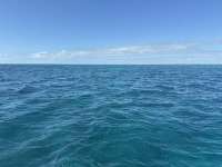 Great day of scuba diving in Key Largo with Rainbow Reef on pickle barrel wreck tropical legend 2024 11 29 r17012 1