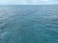 Great day of scuba diving in Key Largo with Rainbow Reef on pickles reef tropical destiny 2024 11 11 r16862 1