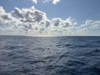 Great day of scuba diving in Key Largo with Rainbow Reef on sand bottom cave tropical legend 2024 11 25 r16970 1