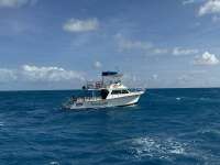 Great day of scuba diving in Key Largo with Rainbow Reef on spiegel grove tropical odyssey 2024 11 09 r16836 1
