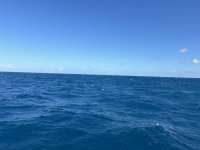 Great day of scuba diving in Key Largo with Rainbow Reef on spiegel grove tropical odyssey 2024 11 13 r16891 1