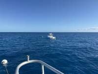Great day of scuba diving in Key Largo with Rainbow Reef on spiegel grove tropical odyssey 2024 11 15 r16902 1