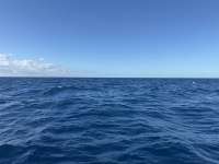 Great day of scuba diving in Key Largo with Rainbow Reef on spiegel grove tropical odyssey 2024 11 26 r16975 1