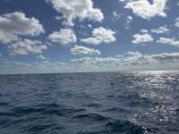 Great day of scuba diving in Key Largo with Rainbow Reef on spiegel grove tropical odyssey 2024 11 26 r16978 1