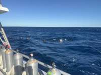 Great day of scuba diving in Key Largo with Rainbow Reef on uscgc duane tropical odyssey 2024 11 23 r16942 1