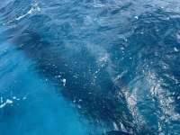 Great day of scuba diving in Key Largo with Rainbow Reef on benwood wreck tropical destiny 2024 10 24 r16772 1