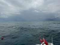 Great day of scuba diving in Key Largo with Rainbow Reef on christ statue tropical odyssey 2024 10 05 r16667 1