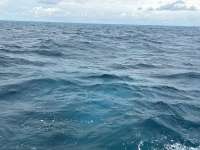 Great day of scuba diving in Key Largo with Rainbow Reef on fire coral cave tropical odyssey 2024 10 28 r16812 1