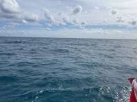 Great day of scuba diving in Key Largo with Rainbow Reef on french reef tropical odyssey 2024 10 26 r16797 1