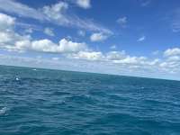 Great day of scuba diving in Key Largo with Rainbow Reef on molasses reef tropical odyssey 2024 10 27 r16803 1