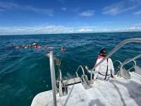 Great day of scuba diving in Key Largo with Rainbow Reef on pickle barrel wreck tropical serenity 2024 10 04 r16650 3