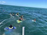 Great day of scuba diving in Key Largo with Rainbow Reef on pickles reef tropical odyssey 2024 10 25 r16779 1