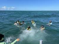 Great day of scuba diving in Key Largo with Rainbow Reef on pickles reef tropical odyssey 2024 10 25 r16781 2