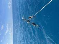 Great day of scuba diving in Key Largo with Rainbow Reef on spiegel grove tropical destiny 2024 10 01 r16628 1