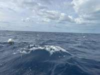 Great day of scuba diving in Key Largo with Rainbow Reef on spiegel grove tropical odyssey 2024 10 28 r16805 1