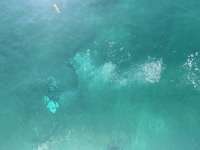 Great day of scuba diving in Key Largo with Rainbow Reef on benwood wreck tropical legend 2024 09 22 r16582 1
