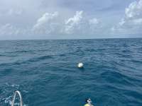 Great day of scuba diving in Key Largo with Rainbow Reef on benwood wreck tropical serenity 2024 09 04 r16443 1