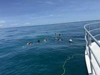 Great day of scuba diving in Key Largo with Rainbow Reef on christ statue tropical serenity 2024 09 13 r16488 1