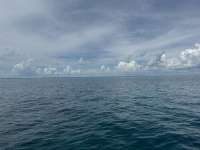 Great day of scuba diving in Key Largo with Rainbow Reef on conch ledge tropical destiny 2024 09 19 r16551 1