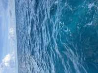 Great day of scuba diving in Key Largo with Rainbow Reef on french reef tropical destiny 2024 09 15 r16509 1
