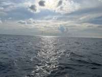 Great day of scuba diving in Key Largo with Rainbow Reef on french reef tropical destiny 2024 09 16 r16515 1