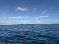 Great day of scuba diving in Key Largo with Rainbow Reef on french reef tropical serenity 2024 09 13 r16484 1