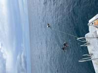 Great day of scuba diving in Key Largo with Rainbow Reef on molasses reef tropical destiny 2024 09 15 r16513 1