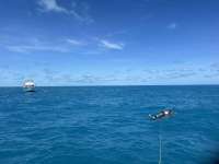 Great day of scuba diving in Key Largo with Rainbow Reef on molasses reef tropical destiny 2024 09 29 r16609 1