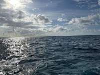 Great day of scuba diving in Key Largo with Rainbow Reef on molasses reef tropical serenity 2024 09 11 r16466 1
