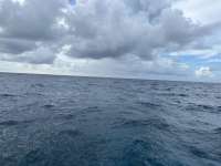 Great day of scuba diving in Key Largo with Rainbow Reef on molasses reef tropical serenity 2024 09 12 r16477 1
