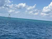 Great day of scuba diving in Key Largo with Rainbow Reef on nine channel tropical destiny 2024 09 21 r16569 1