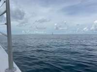Great day of scuba diving in Key Largo with Rainbow Reef on nine channel tropical odyssey 2024 09 19 r16550 1
