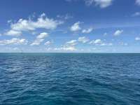 Great day of scuba diving in Key Largo with Rainbow Reef on nine channel tropical odyssey 2024 09 23 r16594 1