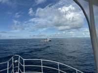 Great day of scuba diving in Key Largo with Rainbow Reef on nine channel tropical serenity 2024 09 14 r16492 1