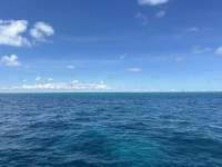 Great day of scuba diving in Key Largo with Rainbow Reef on permit ledges tropical odyssey 2024 09 23 r16595 1