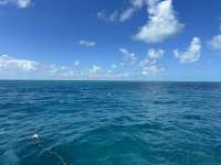 Great day of scuba diving in Key Largo with Rainbow Reef on sand bottom cave tropical destiny 2024 09 07 r16460 1