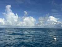 Great day of scuba diving in Key Largo with Rainbow Reef on sand bottom cave tropical destiny 2024 09 30 r16626 1