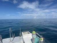 Great day of scuba diving in Key Largo with Rainbow Reef on snapper ledge tropical odyssey 2024 09 18 r16545 1