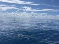 Great day of scuba diving in Key Largo with Rainbow Reef on spiegel grove tropical destiny 2024 09 14 r16498 1