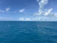 Great day of scuba diving in Key Largo with Rainbow Reef on spiegel grove tropical legend 2024 09 30 r16620 1