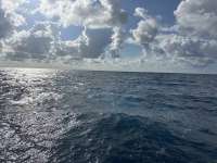 Great day of scuba diving in Key Largo with Rainbow Reef on spiegel grove tropical odyssey 2024 09 02 r16428 1